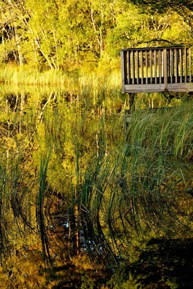Gallery - Loch Kinord Hotel
