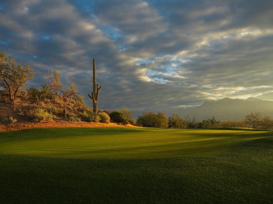 Gallery - Omni Tucson National Resort & Spa