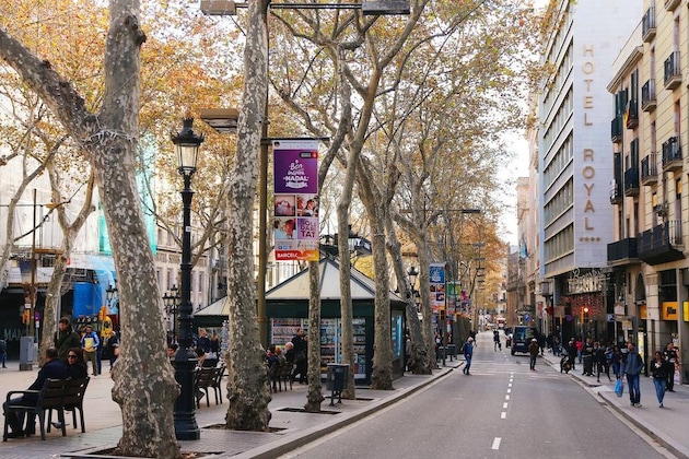 Gallery - Royal Ramblas