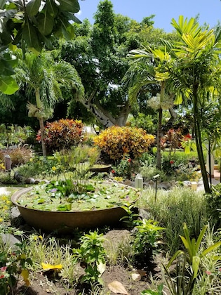Gallery - Blue Horizons Garden Resort