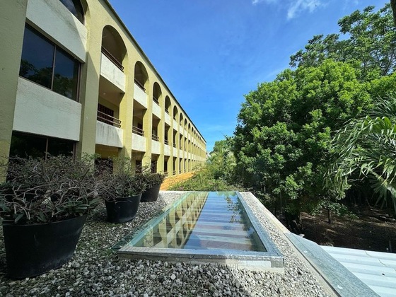 Gallery - Suites Colonial