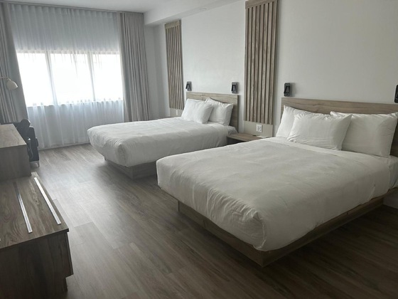 Gallery - Hôtel Universel