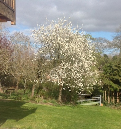 Gallery - Shakespeare S View