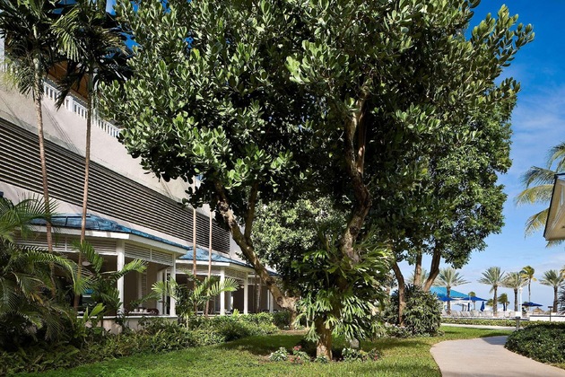 Gallery - Nassau Beach All Inclusive