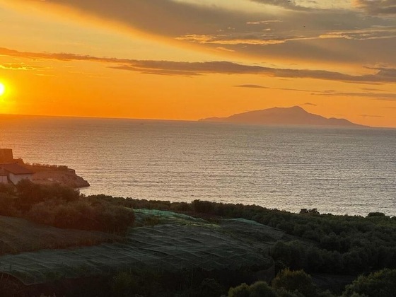 Gallery - Hotel Dania