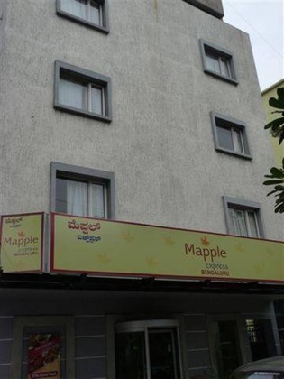 Gallery - Mapple Express
