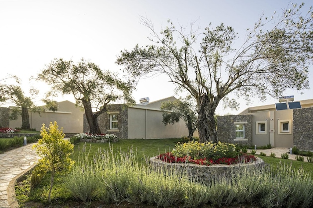 Gallery - Art Hotel Debono