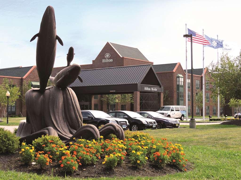 Gallery - Hilton Mystic