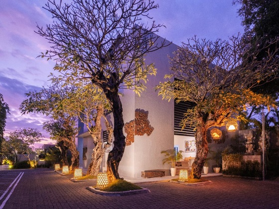 Gallery - The Seminyak Suite - Private Villa