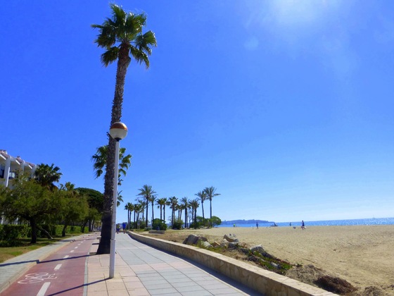 Gallery - Apartamentos Pins Marina 24