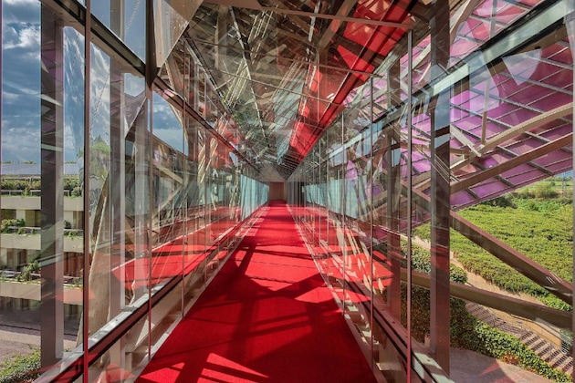 Gallery - Hotel Marqués de Riscal, a Luxury Collection Hotel