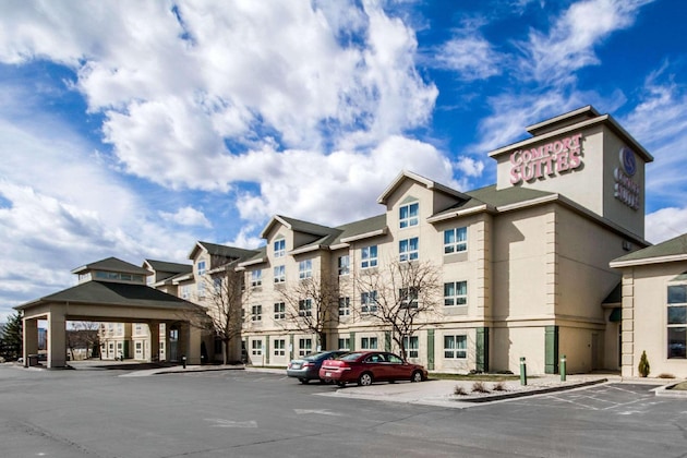 Gallery - Comfort Suites Madison