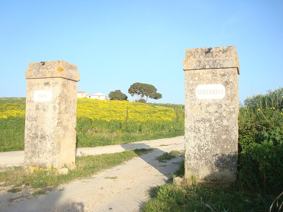 Gallery - Tenuta Stoccatello