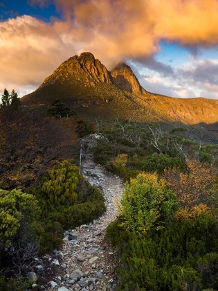 Gallery - Peppers Cradle Mountain Lodge