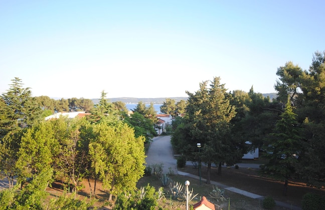 Gallery - Perkovic Ana