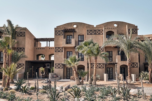 Gallery - Cook's Club El Gouna - Adults Only