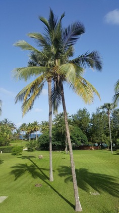 Gallery - Kairaba Hotel