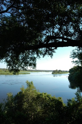 Gallery - Divava Okavango Resort & Spa