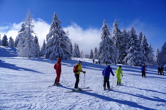 Gallery - Chalet Hotel Du Bois
