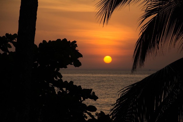 Gallery - Hotel La Isla