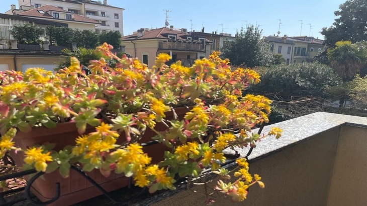 Gallery - Hotel Florence