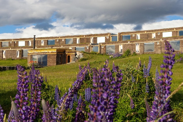 Gallery - Altiplanico Puerto Natales