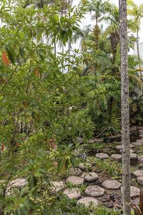 Gallery - Club Tropical Resort Port Douglas