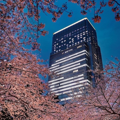 Gallery - Mandarin Oriental, Tokyo