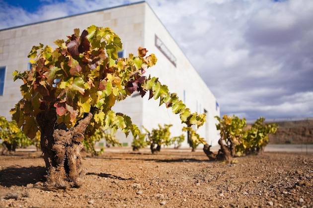 Gallery - Hotel Del Vino