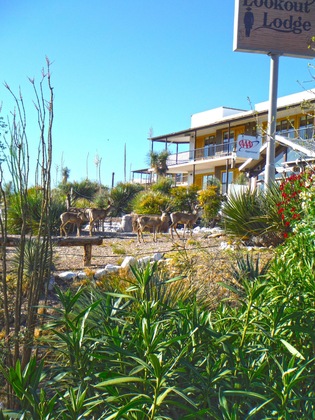 Gallery - Landmark Lookout Lodge
