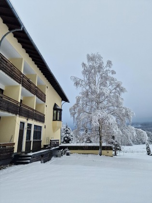 Gallery - Der Wolfshof