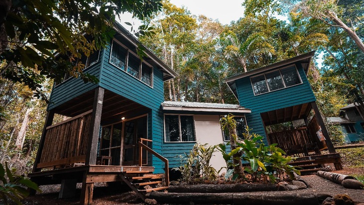 Gallery - Ferntree Rainforest Lodge