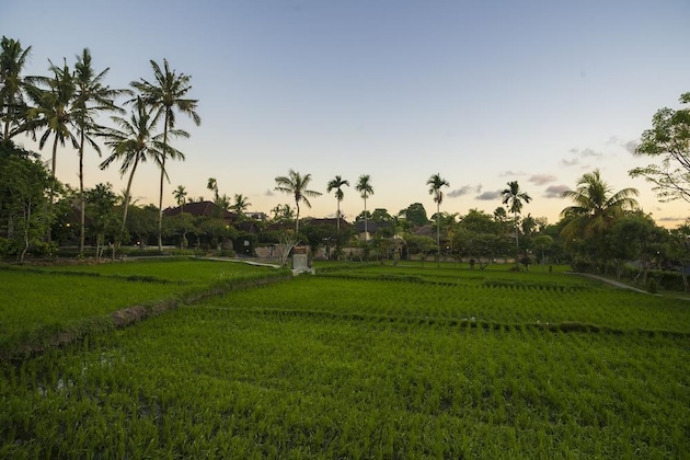 Gallery - Agung Raka Resort And Villa