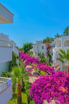 Gallery - Bendis Beach Hotel