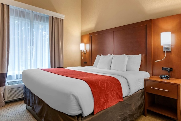 Gallery - Comfort Suites Orlando Airport