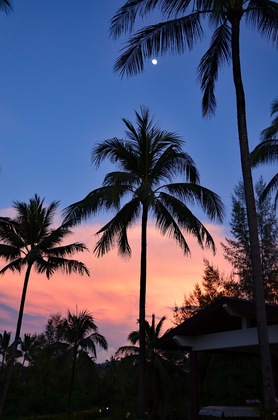 Gallery - Khao Lak Blue Lagoon Resort