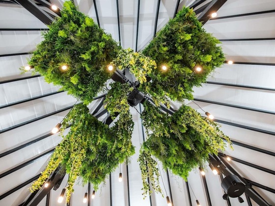 Gallery - Hotel Amazonia