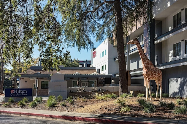 Gallery - Hilton Garden Inn Davis Downtown