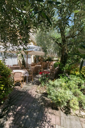 Gallery - Hotel Serenella