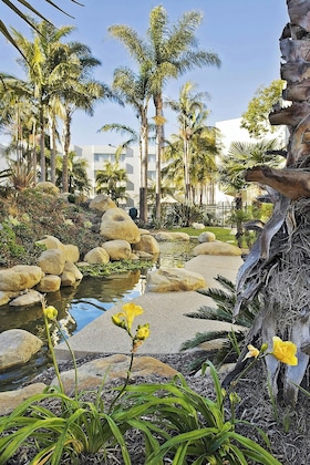 Gallery - Ventura Beach Marriott