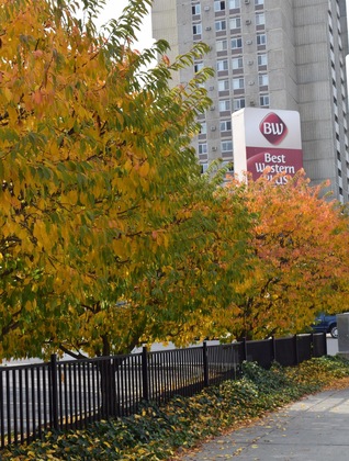 Gallery - Best Western Plus City Center