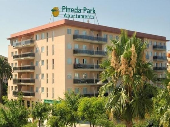 Gallery - Pineda Park