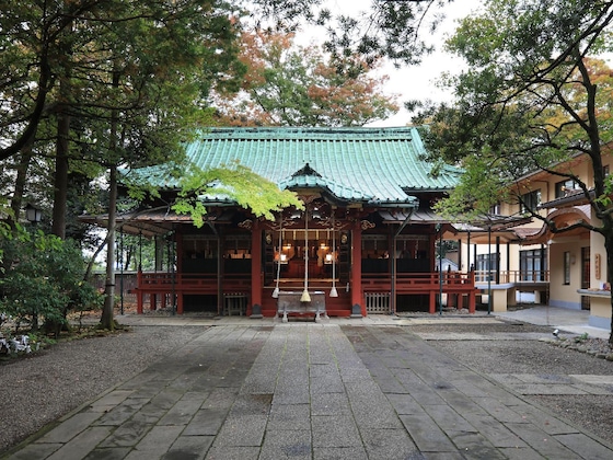 Gallery - Innsomnia Akasaka