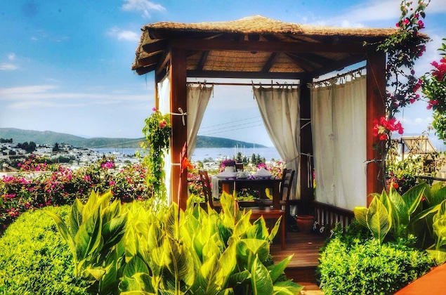 Gallery - El Vino Hotel Suites - Special Class