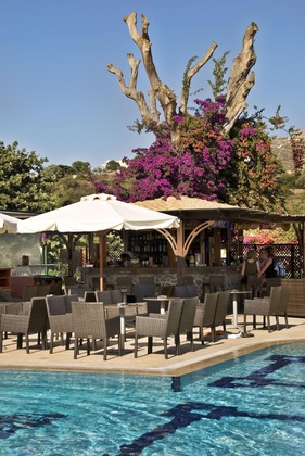 Gallery - Crithoni's Paradise Hotel