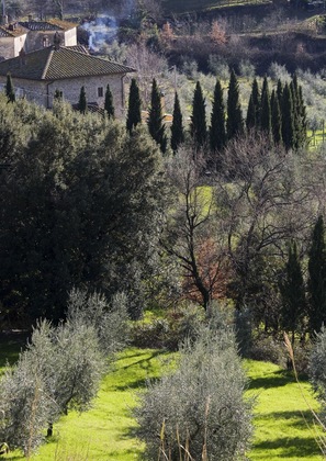 Gallery - Villa Giorgia Albergo In Collin