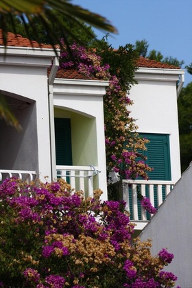 Gallery - Beach Apartments Lavica