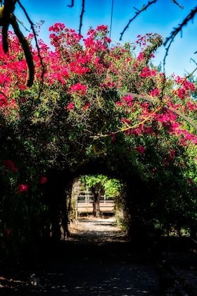 Gallery - Quinta Da Praia Das Fontes