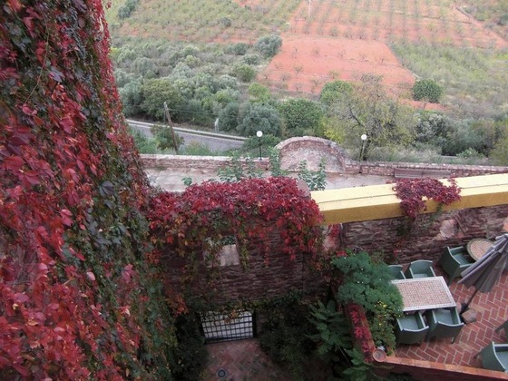 Gallery - Hotel Rural El Jardín Vertical - Adults Only