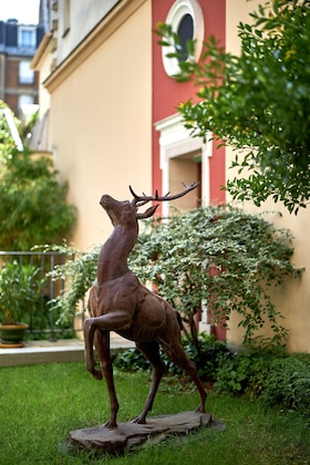 Gallery - Best Western Saint Louis
